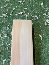 Load image into Gallery viewer, BTC Precision Bat 3