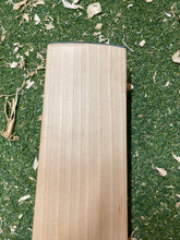 Load image into Gallery viewer, BTC Precision Bat 10