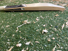 Load image into Gallery viewer, BTC Precision Bat 1
